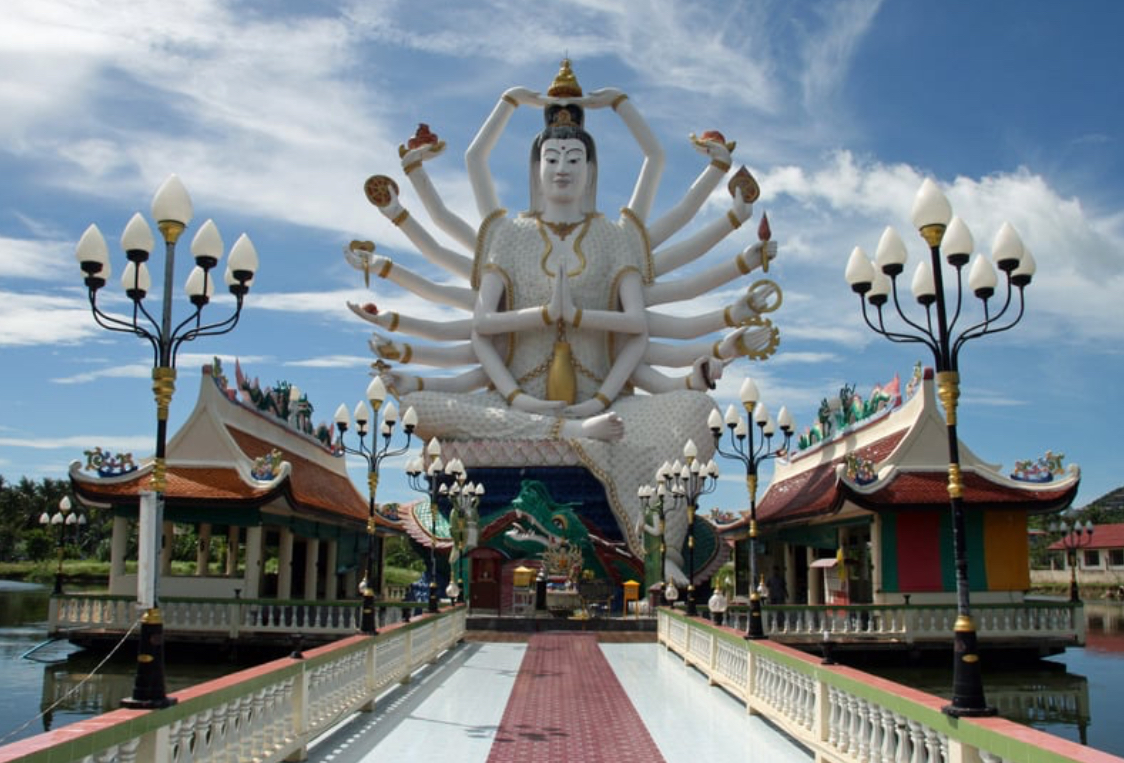 Safari Tropical Forest